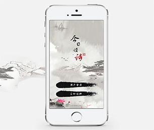 葫芦岛公众号定制拼团电商系统用智慧和技术，创造更多商业价值【只需一天，零风险！】